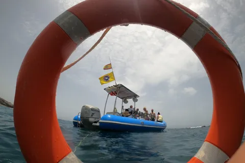 Puerto Colon: Dolphin and Whale Watching Speedboat Tour