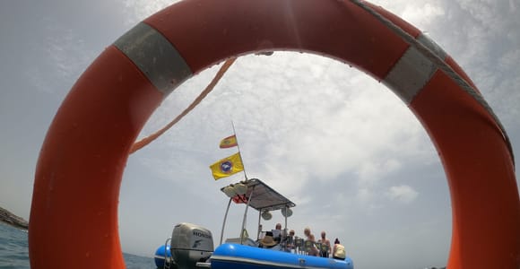 Puerto Colon: Dolphin and Whale Watching Speedboat Tour