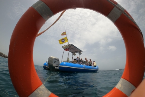 Costa Adeje: paseo guiado en barco con scooter subacuáticoCosta Adeje: paseo en barco de 2 horas con esnórquel en scooter submarino