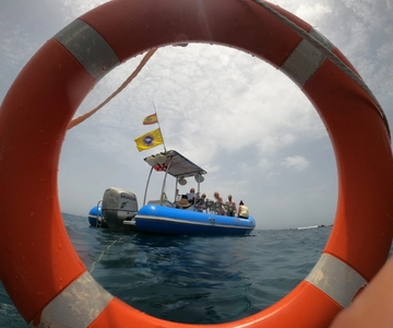 Puerto Colon: Dolphin and Whale Watching Speedboat Tour