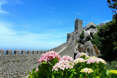 Sintra: Tour privato al Palazzo Pena e alla RegaleiraDa Lisbona o Cascais: tour privato di Sintra di un&#039;intera giornata