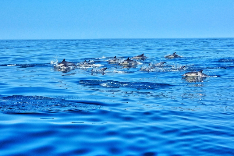 Albufeira: Jaskinia Benagil i rejs statkiem z delfinami