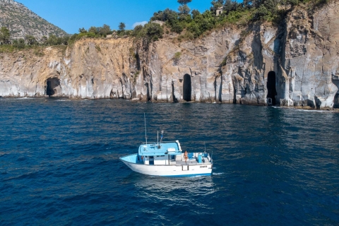 Au départ de Sorrento : Tour de pêche sur l'île de Capri avec déjeuner