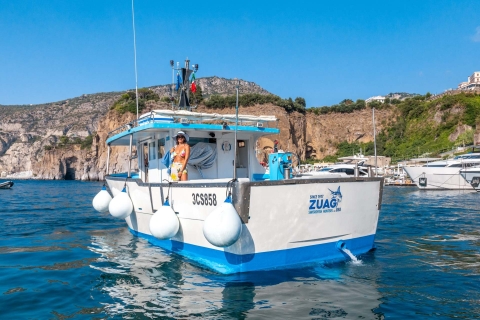 Au départ de Sorrento : Tour de pêche sur l'île de Capri avec déjeuner