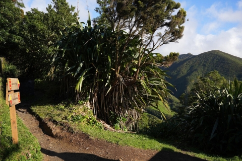Azoren: wandeltocht São Miguel en Lagoa do Fogo