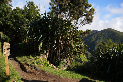 Azoren: wandeltocht São Miguel en Lagoa do Fogo