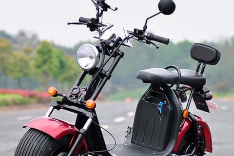 e-Scooter of e-Bike 2 zitplaatsen Gezinsvriendelijke tour : Maspalomase-bike + optioneel babyzitje