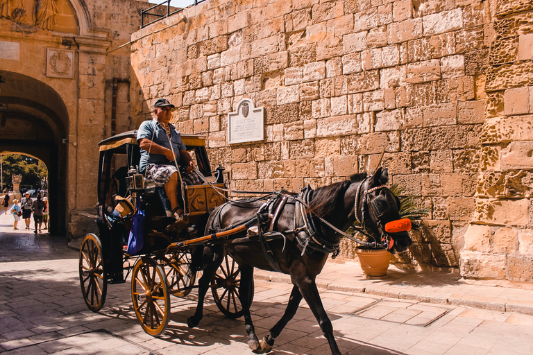 Malta: Tour di un giorno con pranzo di Malta e MdinaCon guida in lingua inglese