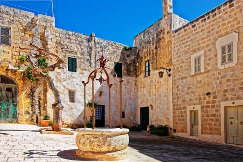 Malta: Highlights von Malta und Mdina Tagesausflug mit Mittagessen