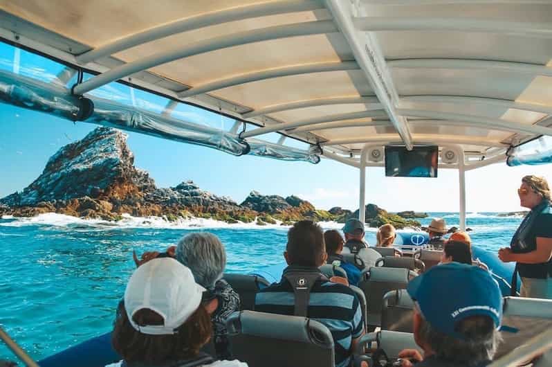 Brunswick Heads Snorkeling Byron Bay Tour at Julian Rocks GetYourGuide