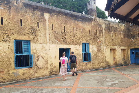 Au départ de Zanzibar : Visite à pied de l'île de Prison avec transfert en bateau