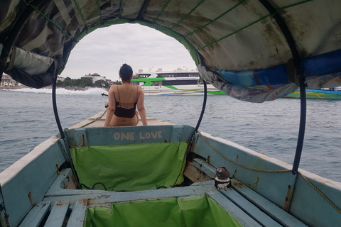 Au départ de Zanzibar : Visite à pied de l'île de Prison avec transfert en bateau