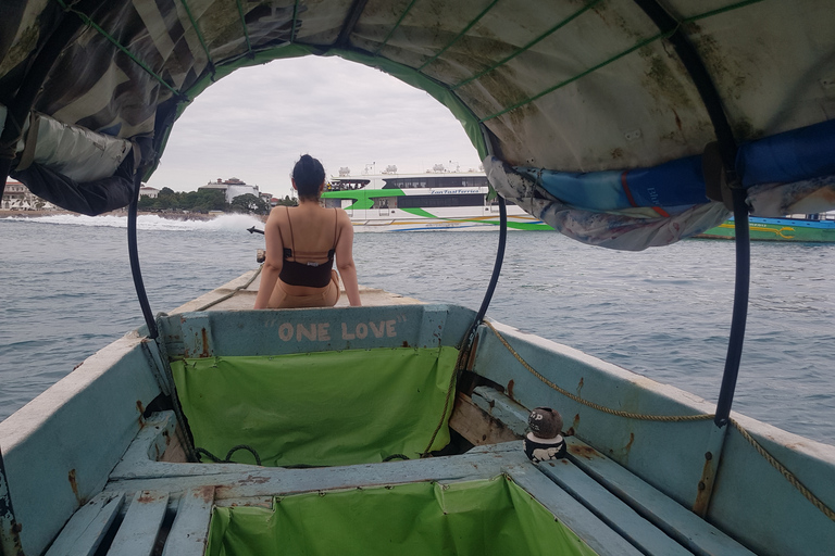 Au départ de Zanzibar : Visite à pied de l'île de Prison avec transfert en bateau