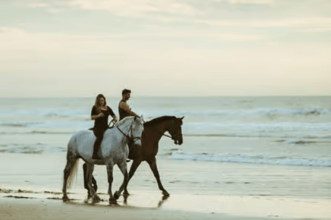 Ibiza: Beach or Nature Horseback Ride with Guide Ibiza: 1 h Nature Ride for beginners