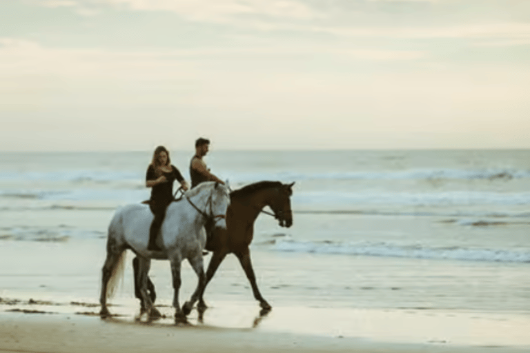 Ibiza: Beach or Nature Horseback Ride with Guide Ibiza: 1 h Nature Ride for beginners