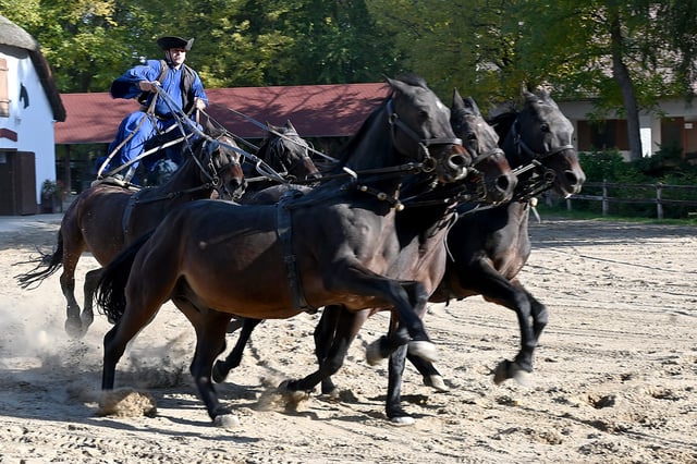 Ranch de campagne, concours hippique et déjeuner