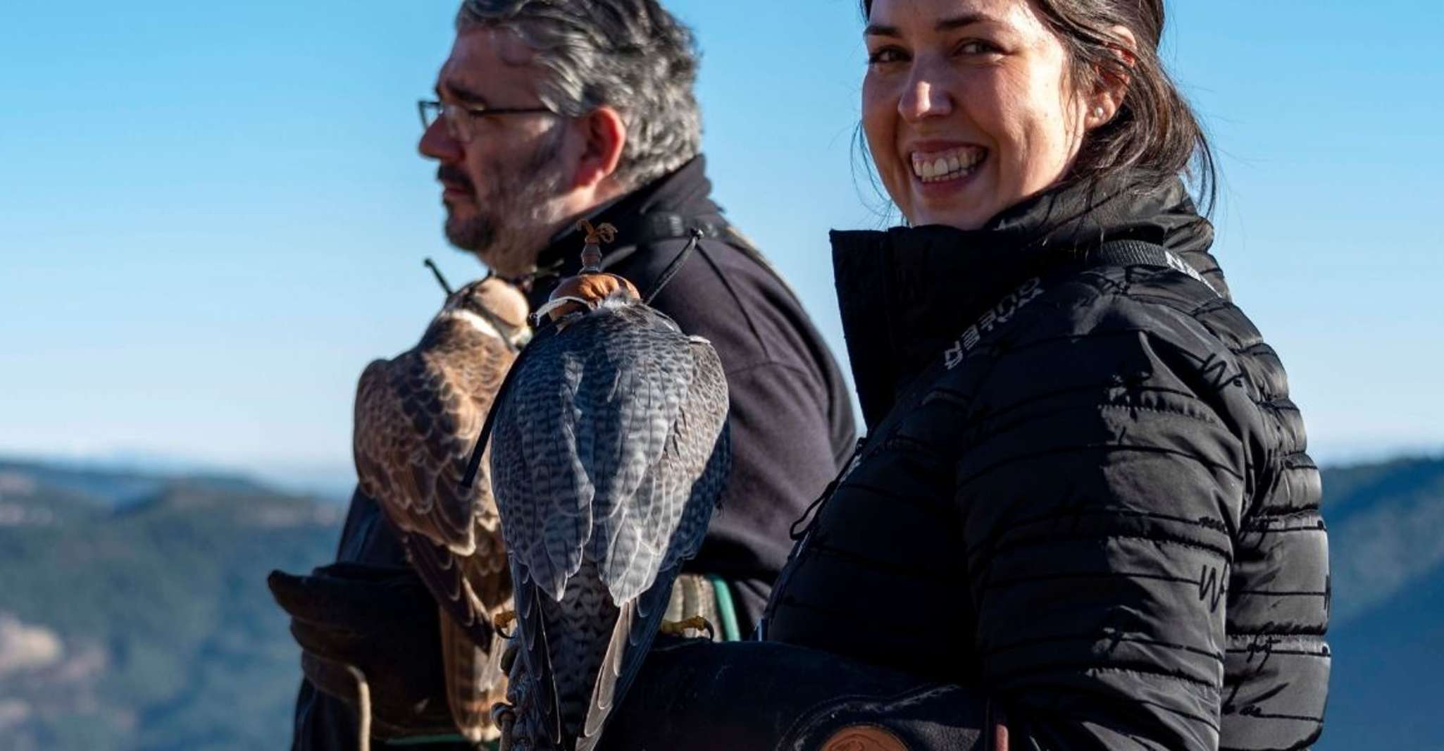 Lleida, Private Falconry Course and Free Flight Show - Hizvo