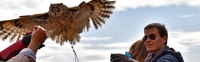 Lleida, Curso de Falconería Privado y Show de Vuelo Libre - Hizvo