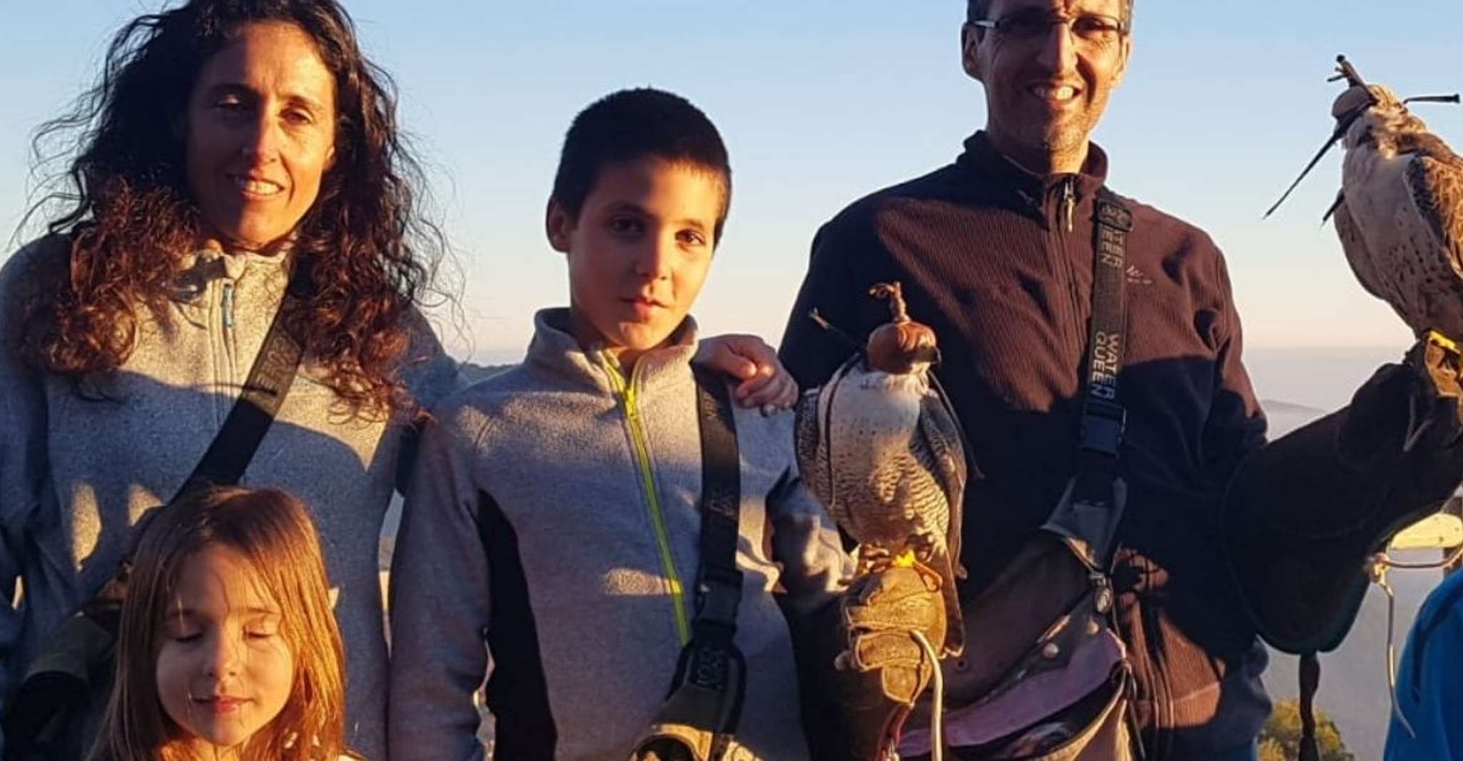 Lleida, Private Falconry Course and Free Flight Show - Hizvo