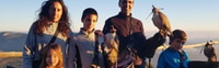 Lleida, Curso de Falconería Privado y Show de Vuelo Libre - Hizvo