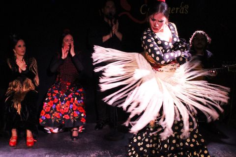 Madrid: Espectáculo de Flamenco con Tapas y Ruta del Vino