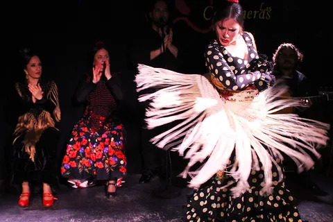 Madrid: Flamenco Show mit Tapas und Wein Tour