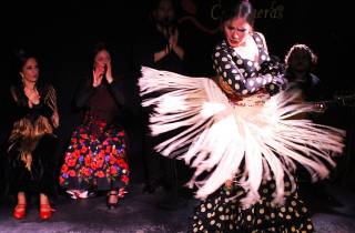 Madrid: Flamenco Show mit Tapas und Wein Tour
