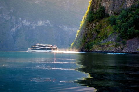 Jednodniowa wycieczka po Flåm - Premium Nærøyfjord Cruise & Flåm Railway