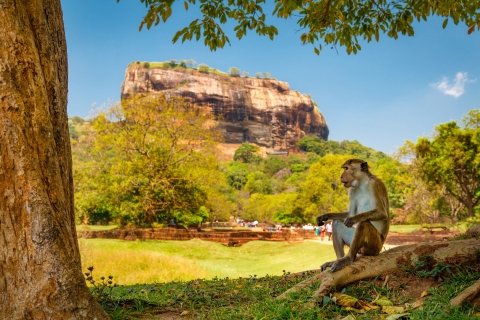 Visite privée de Sigiriya et Dambulla au départ de Hikkaduwa