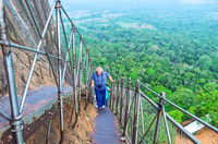 Von Kandy, Sigiriya und Dambulla Tagesausflug und Safari - Hizvo