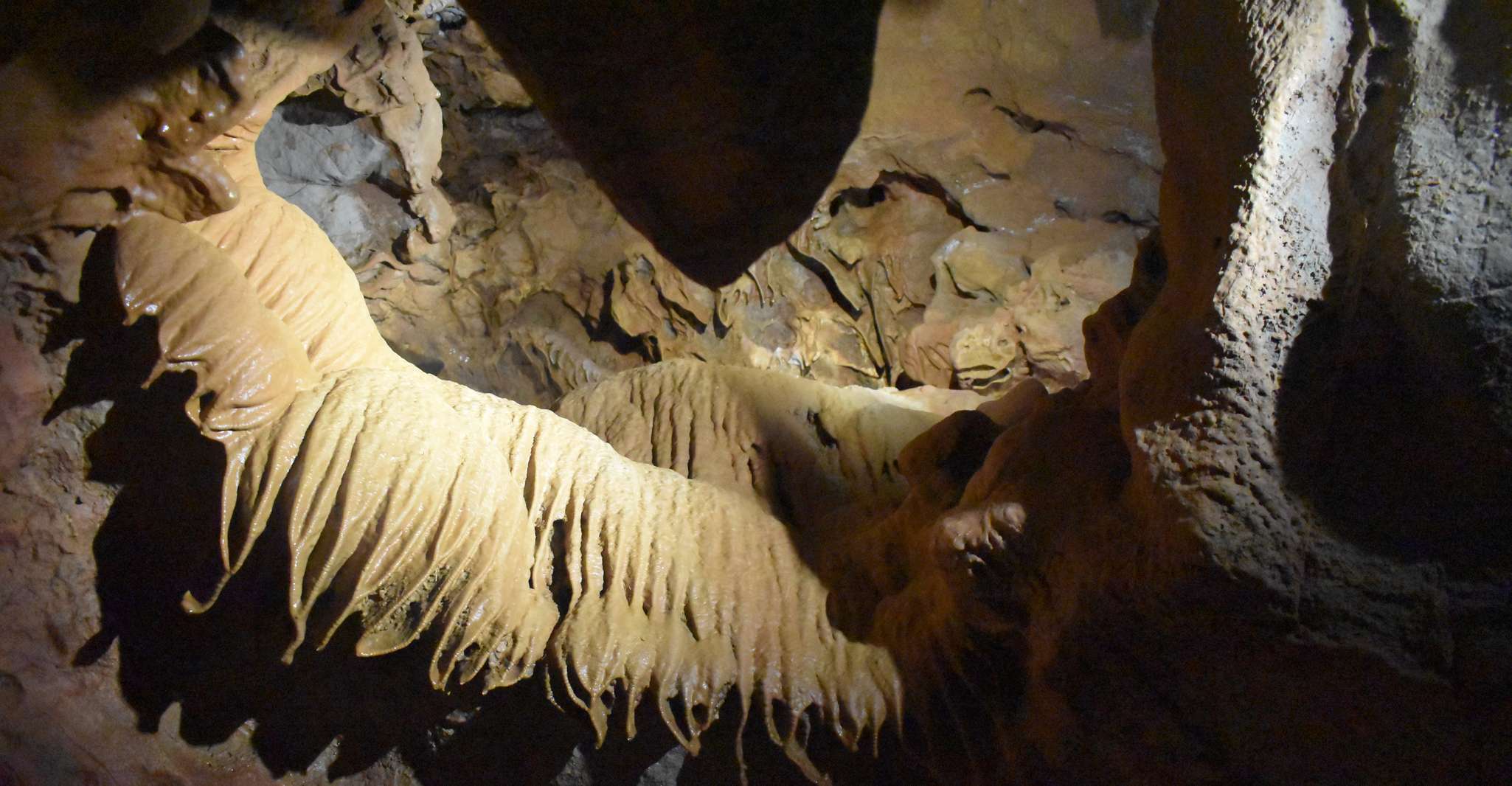 From Valencia, Caves of San José Guided Excursion and Ticket - Housity