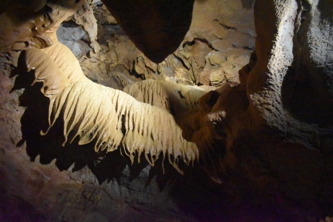 From Valencia: Caves of San José Guided Excursion and Ticket Day Trip with Pickup at Ciudad de la Justicia
