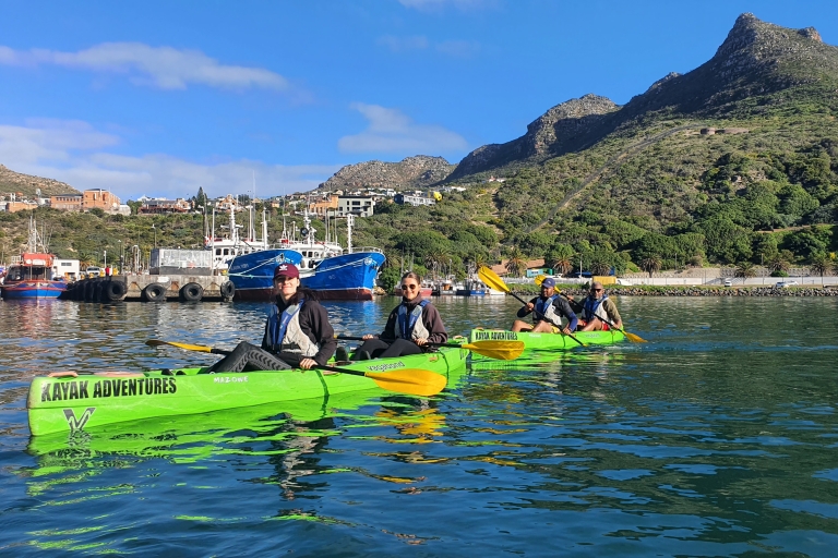 Cape Town: Guided Kayaking in Hout Bay Cape Town: Guided Kayaking in Hout Bay
