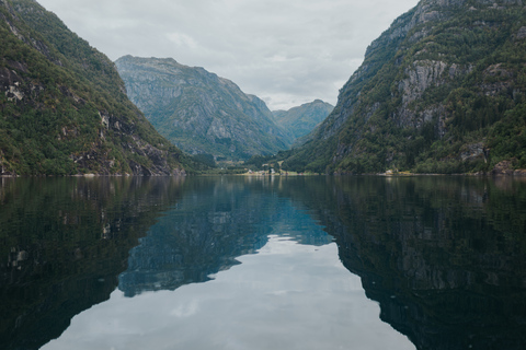 Øystese: safari in RIB nell&#039;Hardangerfjord fino al ramo di FyksesundGiro in gommone