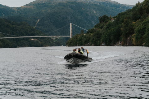 Øystese : safari en semi-rigide dans le Hardangerfjord jusqu'à l'embranchement de FyksesundVisite en bateau pneumatique