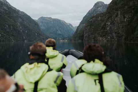 Øystese: Hardangerfjord RIB safari to the Fyksesund branch RIB Boat Tour