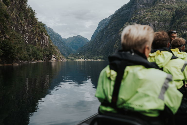 Øystese : safari en semi-rigide dans le Hardangerfjord jusqu'à l'embranchement de FyksesundVisite en bateau pneumatique