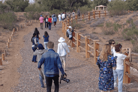 Agadir: Safari w parku Sous Massa, wycieczka jeepem po pustyni i lunch