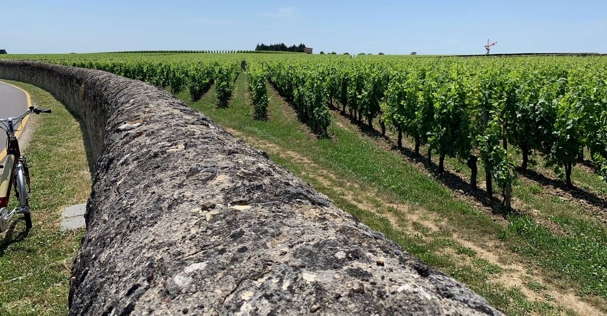 Da Bordeaux, Saint-Emilion Tour degustazione guidata di vini - Hizvo