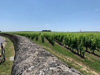 De Bordeaux, visite guidée des vins de Saint-Emilion - Hizvo