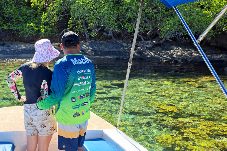 Buccoo Reef and Nylon Pool Adventure