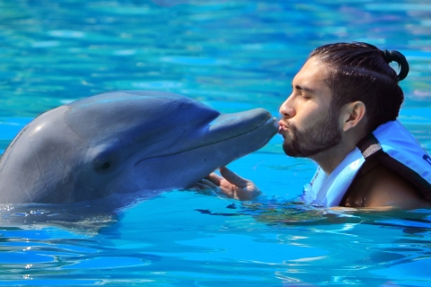 Punta Cana: nados y encuentros con Dolphin DiscoveryNado Real con Delfines - Avanzado