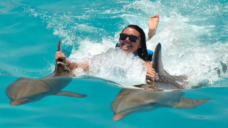 Punta Cana: ontdekkingszwemmen en ontmoetingen met dolfijnen