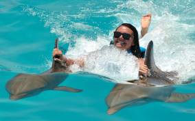 Punta Cana: Dolphin Discovery Swims and Encounters
