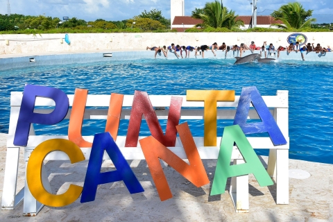 Punta Cana: Schwimmen und Begegnungen mit DelfinenDelphin Royal Swim - Fortgeschrittene