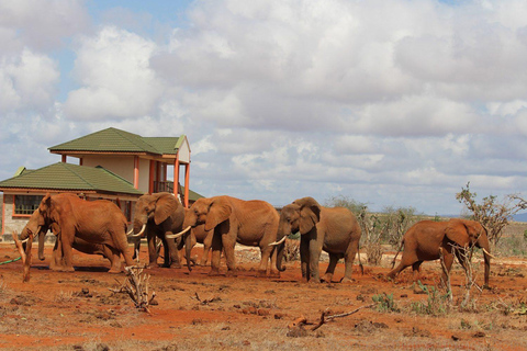 Tsavo Express 3 Days/ 2 Nights ( Comfort)