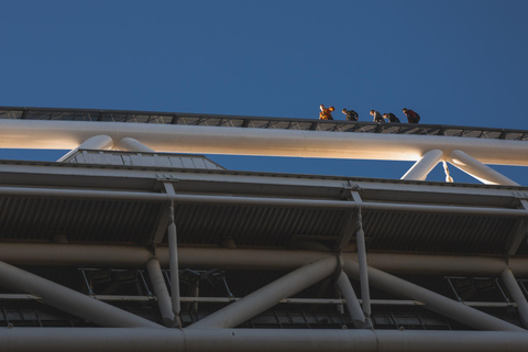 Cardiff: Principality Stadium Roof Walk Adult or Child