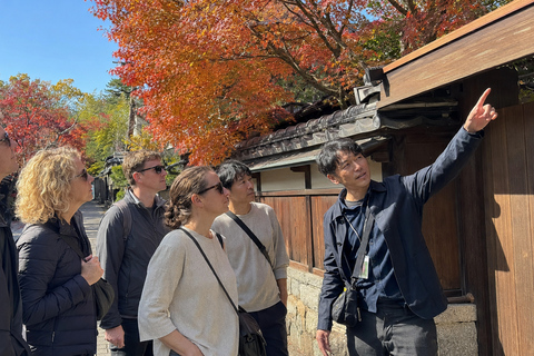 Nara: Autumn Colors, Deer & Historic Park Walk Early Bird 20% Off – Limited Autumn Offer