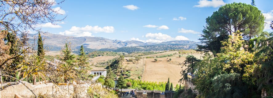 Historic Exploration: Guided Walking Tour of Ronda