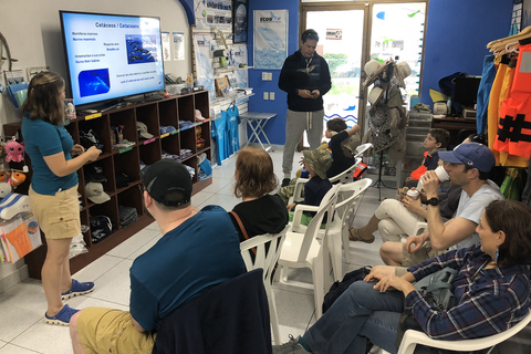 Puerto Vallarta: Tour d&#039;avventura per la ricerca della megatteraOsservazione delle balene